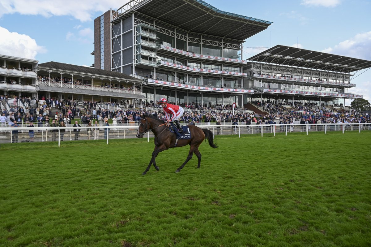York Racecourse tweet media