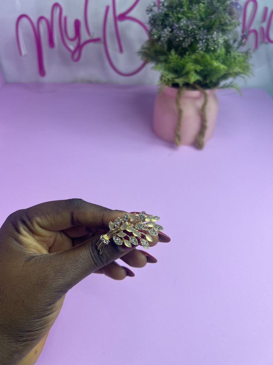 My_Bloom_Chic's tweet image. Beautiful brooches 🎀🥰
3000 naira each