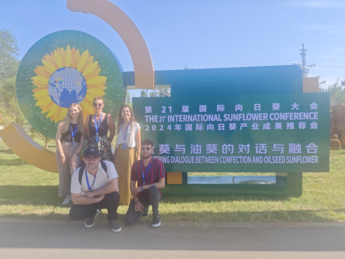 stephane_munos's tweet photo. Proud of my group who all gave great talks during the International #Sunflower Conference on different fields of sunflower #broomrape research
They are the future of plant science https://t.co/wiyKwicrJp