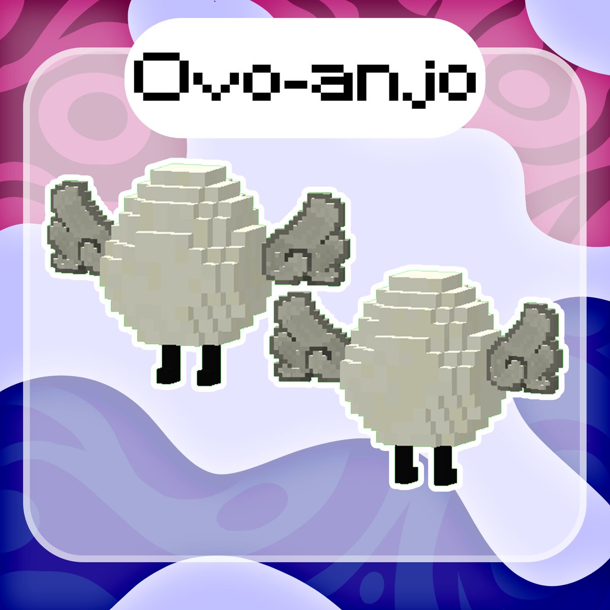 OiVela Portfolio tweet media