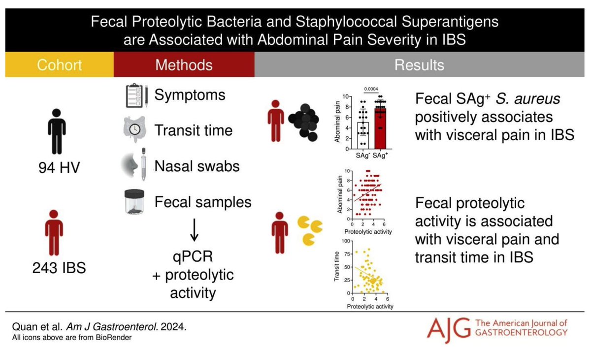 Rajan Singh (@rajan___singh) on Twitter photo Such an elegant study! <a href="/AmJGastro/">AJG - The American Journal of Gastroenterology</a> <a href="/AmCollegeGastro/">ACG</a> 🆕🔥
✳️Fecal #Proteolytic bacteria & #Staphylococcal superantigens are associated with #AbdominalPain severity in #IrritableBowelSyndrome‼️
<a href="/BoeckxstaensLab/">Boeckxstaens Lab</a> <a href="/Diiind/">Hind Hussein 🌈🖤🩶💜🍉</a> <a href="/Javimmunopain/">Javi Aguilera-Lizarraga</a>... <a href="/TARGID_KULEUVEN/">TARGID KU LEUVEN</a>🙌
🎯⬆️#Trypsin-like activity Such an elegant study! <a href="/AmJGastro/">AJG - The American Journal of Gastroenterology</a> <a href="/AmCollegeGastro/">ACG</a> 🆕🔥
✳️Fecal #Proteolytic bacteria & #Staphylococcal superantigens are associated with #AbdominalPain severity in #IrritableBowelSyndrome‼️
<a href="/BoeckxstaensLab/">Boeckxstaens Lab</a> <a href="/Diiind/">Hind Hussein 🌈🖤🩶💜🍉</a> <a href="/Javimmunopain/">Javi Aguilera-Lizarraga</a>... <a href="/TARGID_KULEUVEN/">TARGID KU LEUVEN</a>🙌
🎯⬆️#Trypsin-like activity