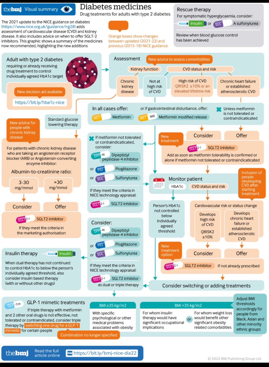 🔥Diabetes Pharmacotherapy 💊

<a href="/bmj_latest/">The BMJ</a>