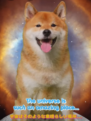Minasan kon'nichiwa!

Tofu chan $TOBE is the cutest shiba inu on #TRON 

Join TG for positive vibes
t.me/TofuChanTron
CA TGLFfH2WQ1cokm2zfnAtHUdr7z1mRoWdVh
<a href="/TofuChanTron/">Tobe</a>
#TronMemes #Tronmemecoins