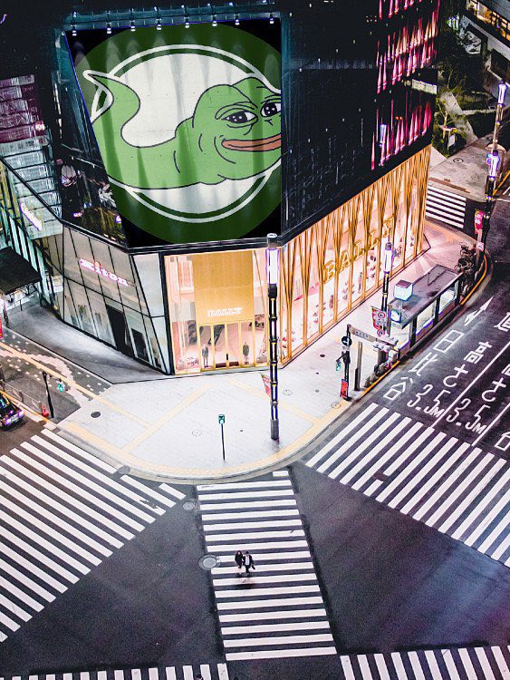 So, 

How is @tadpolebase steadily trending on every platform? 

Simple, The team is based. The team im working with on this project is incredibly talented, organized , and systemized in the approach. 

I am incredibly bullish on taking this to a bil. 

<a href="/coinbase/">Coinbase 🛡️</a>