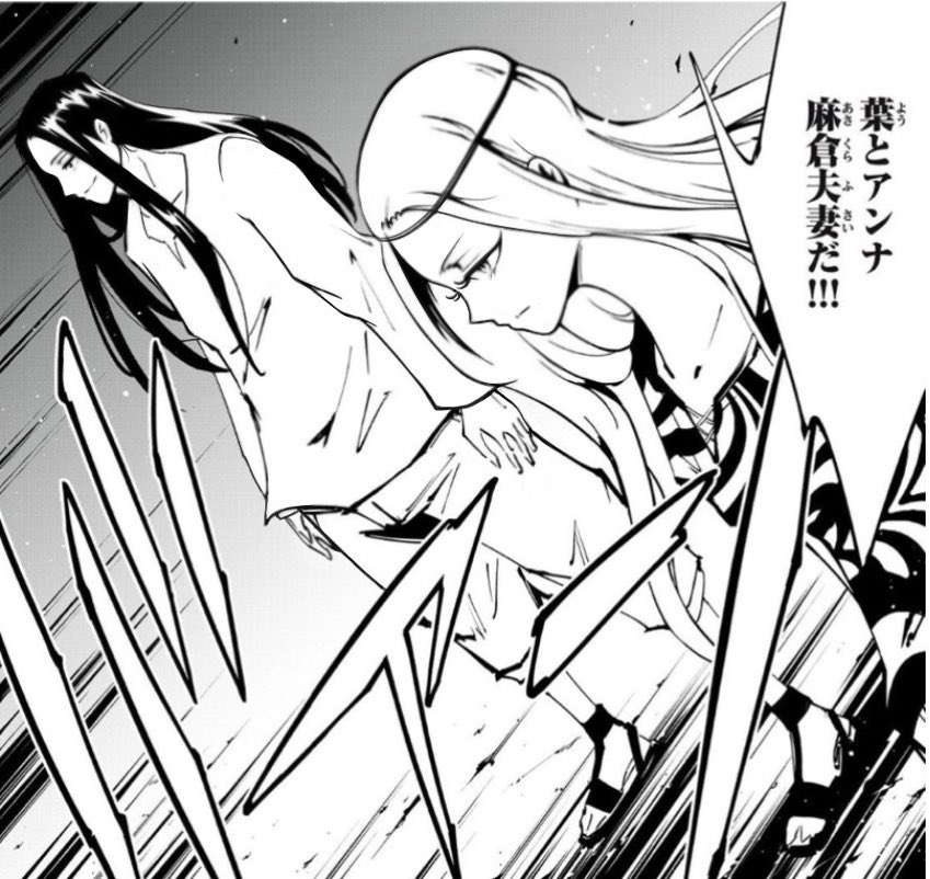 Lo intenté, ahora puedo dormir #SHAMANKING