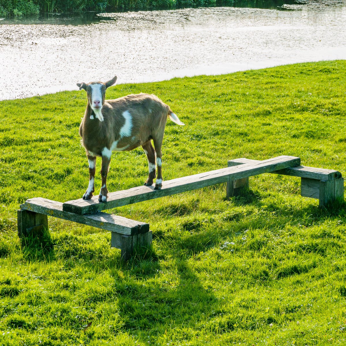 #straatjutten 4819: Turnen

Sinds de ongekende successen van Simone Biles op de Olympische Spelen in Parijs is turnen razend populair aan het worden, zelfs bij totaal onverwachte doelgroepen.

Lezing of workshop straatjutten: shorturl.at/BDJ89