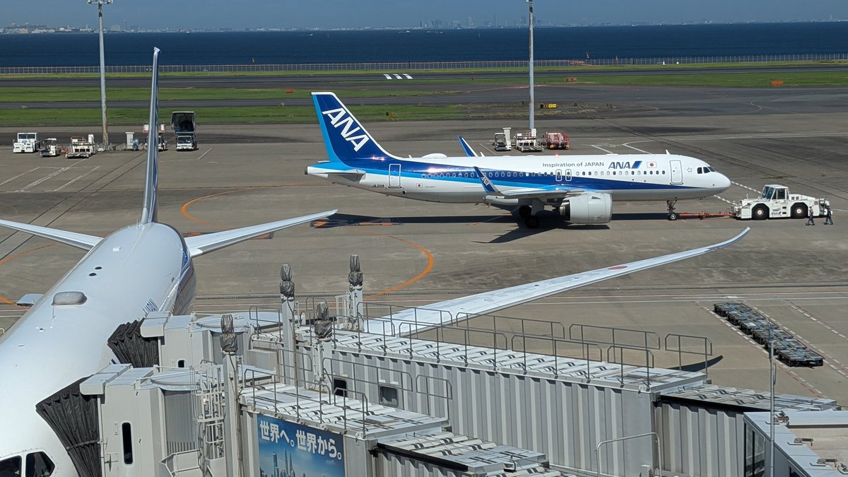 Kens_ke's tweet photo. Pixelさんに 飛行機JALに変えてとイマジネーション加工頼んだら謎の飛行機できあがった
#GooglePixel9 https://t.co/RIfMK01iRF