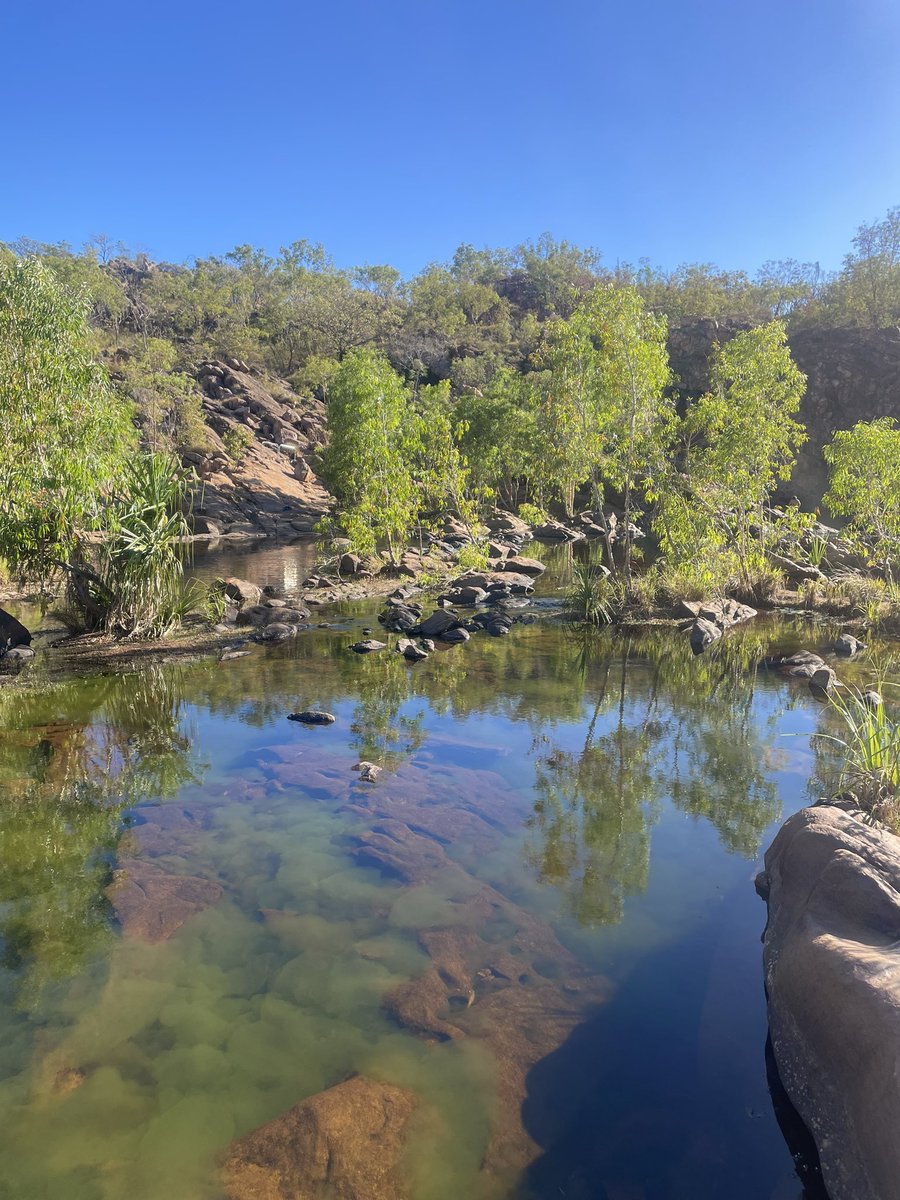 manthajane____'s tweet image. I’ll be c-ing u in the nt