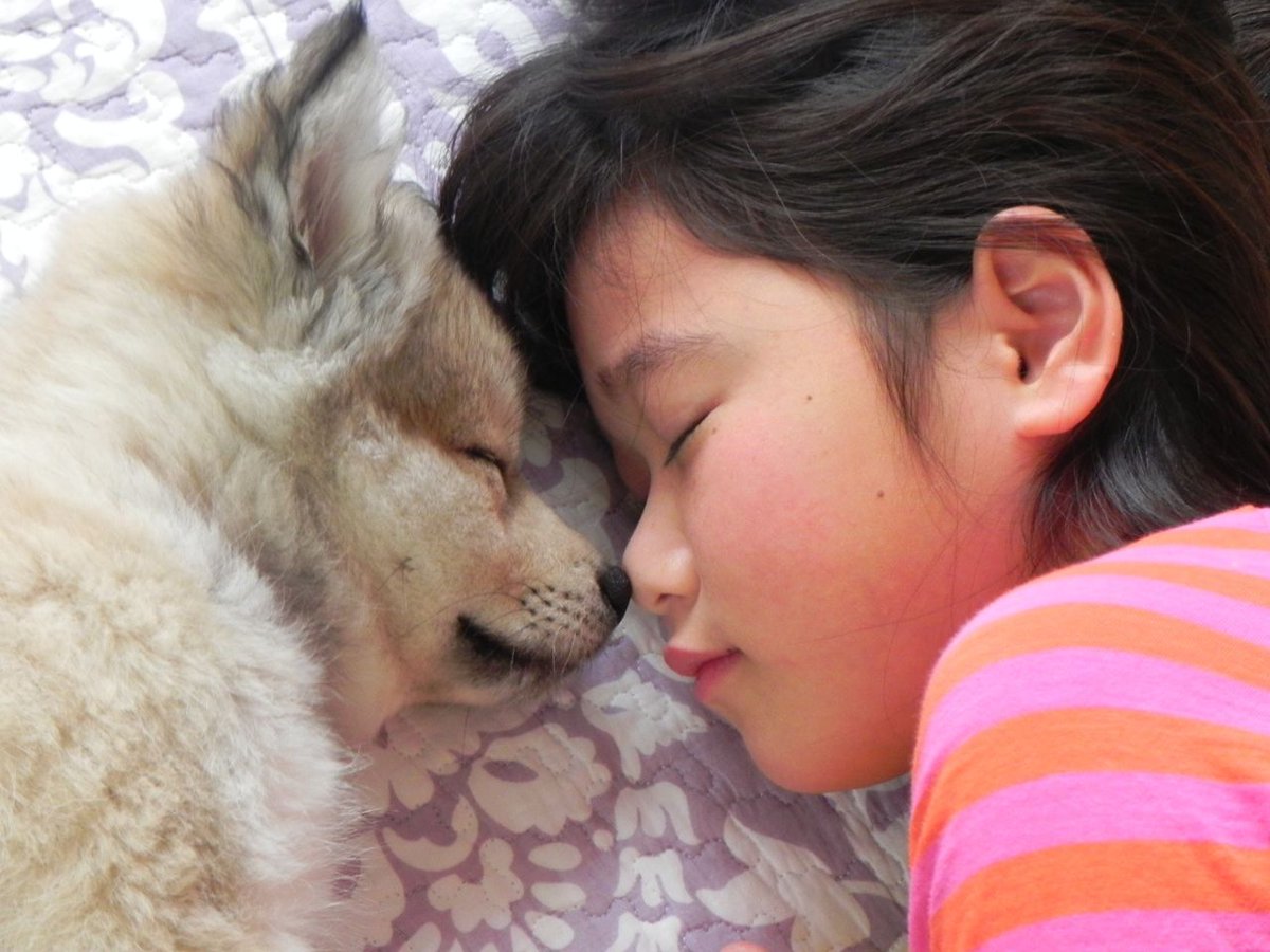 OsakaVolunteer's tweet photo. \継続/パピーウォーカー(子犬飼育ボランティア)🐶🐾
#聴導犬 #介助犬 の候補犬をあなたも育ててみませんか?
期間:ご都合に合わせてご相談
場所:各ご自宅
募集先:日本聴導犬協会 @nihon1chodoken
詳細
☞ https://t.co/j3RFc0NfEh
#M154 #パピーウォーカー https://t.co/pT6gGQMYq8