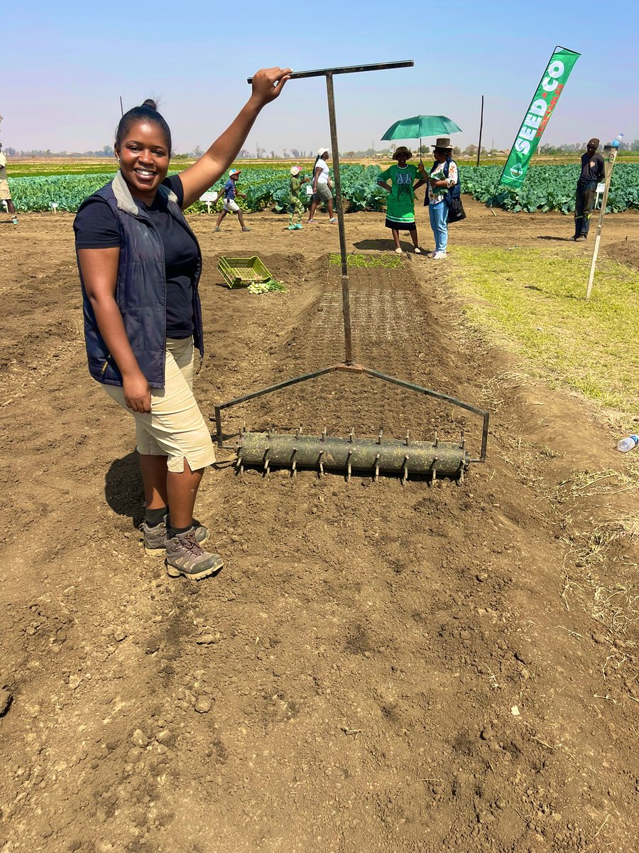 WendyMadzura's tweet photo. 📣”HELLO FARMERS, Please gather here &amp; witness how this simple technology called a “CHIROMBO” can be used to make planting stations during onion transplanting (optimum populations >700000plants/ha factoring in field losses)➡️Assorted Steel &amp; Fence - Abel Madzima, 263 77 256 4849) https://t.co/A2aAKFVTBC