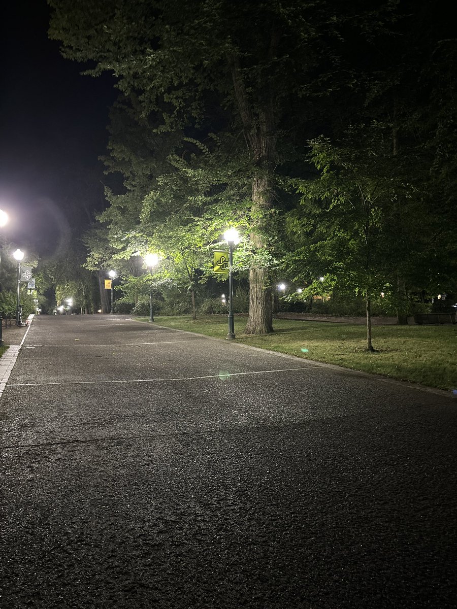 AaronCollectPDX's tweet photo. Late night shenanigans😊Happy I didn’t get stabbed by a homeless person #PokemonGOApp #ShinyPokemon https://t.co/cDPILrcCJF
