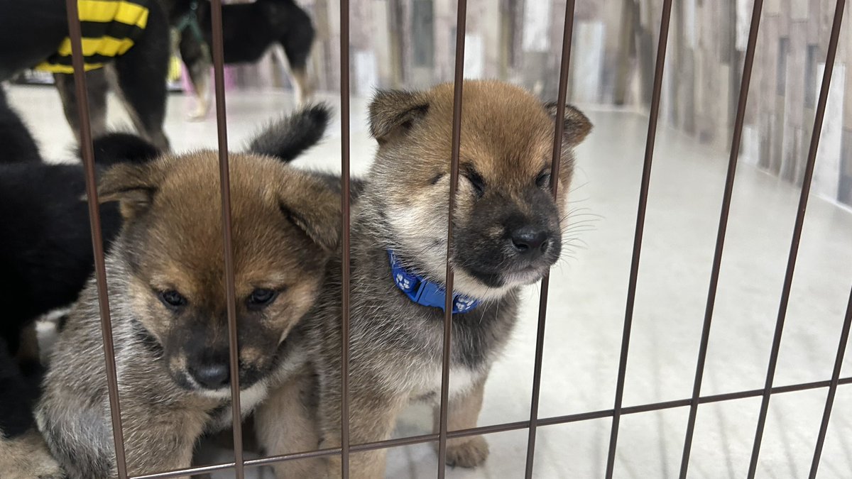だいぶ様子がオカシイ赤ちゃん
