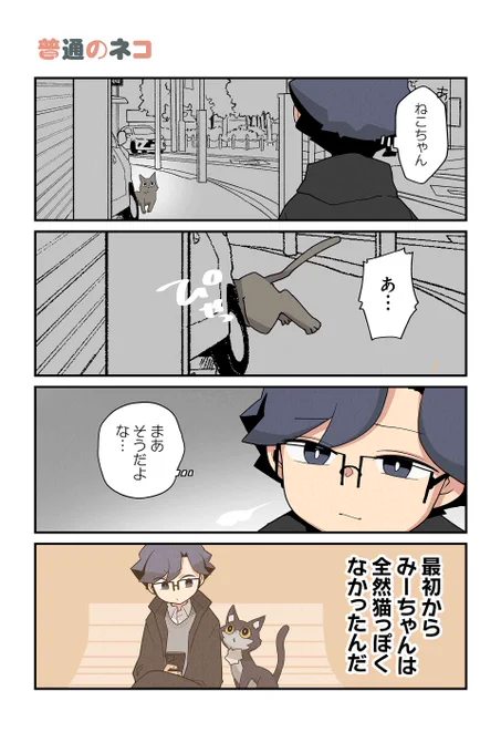【普通のネコ】NOBEL『猫の手だって役に立つ』  #ツイ4