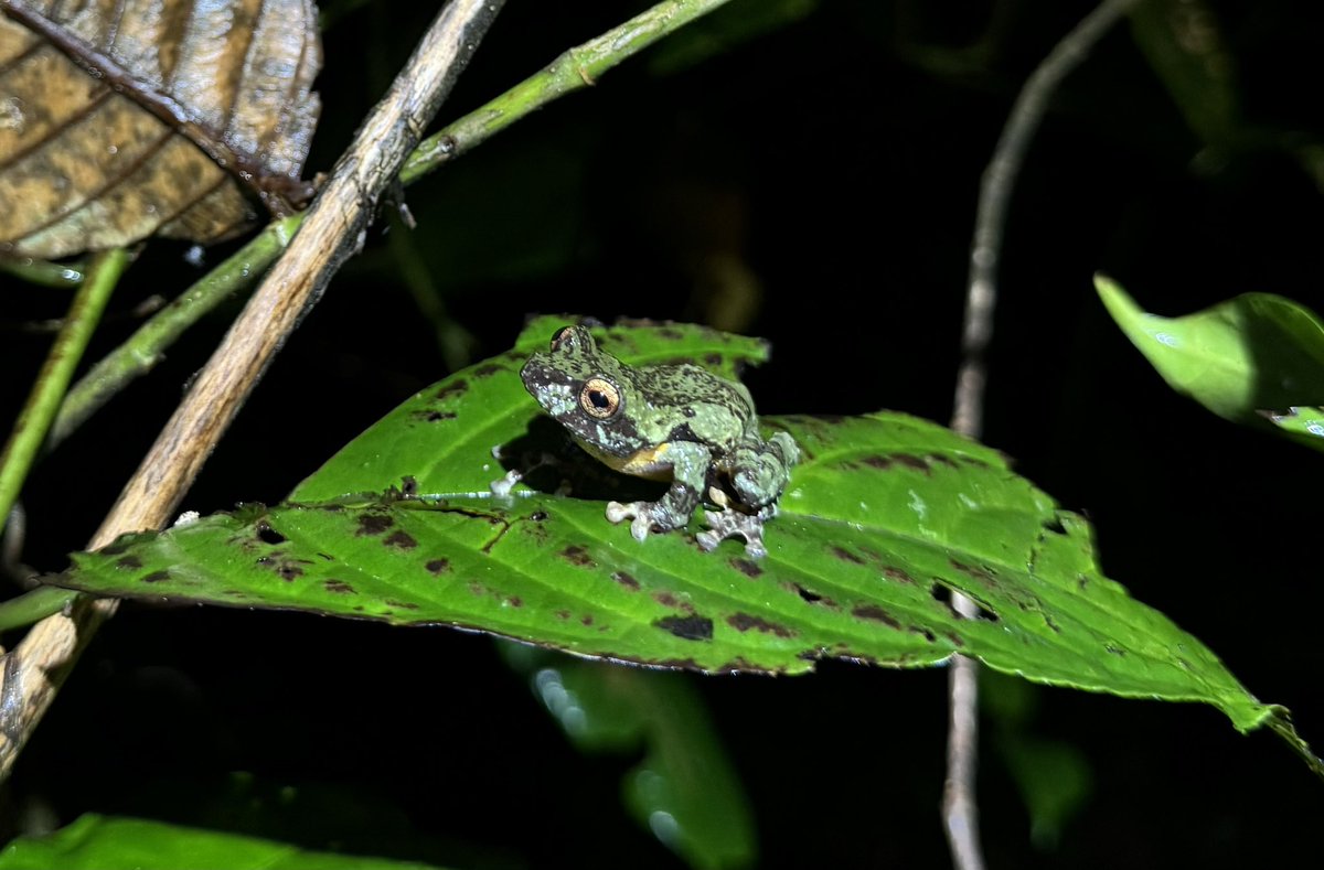 Harrison Kent tweet media