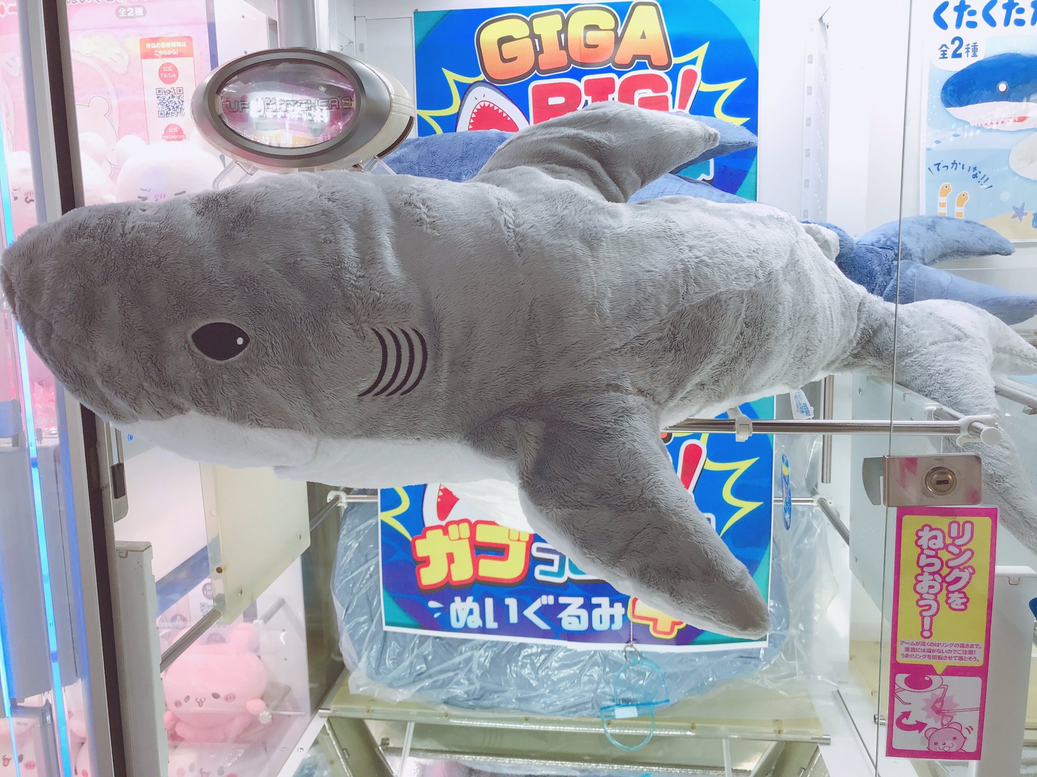 GiGO 本厚木 on X: 