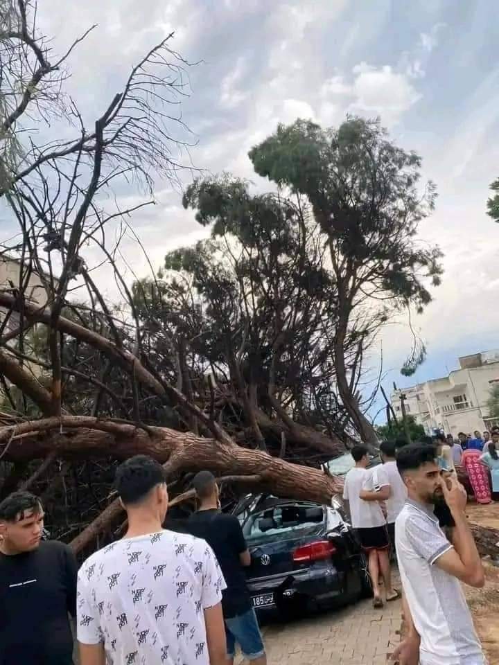 bassem_zammeli's tweet photo. @In2ThinAir @d_boocock Eye witness here I'm in Tunisia, which is a few miles away, we felt this it came out of nowhere no warning no forecast 100% unpredicted it knocked down some trees destroyed some cars it was over in like 1 hour https://t.co/BJV8eHYhCb