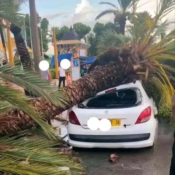 bassem_zammeli's tweet photo. @In2ThinAir @d_boocock Eye witness here I'm in Tunisia, which is a few miles away, we felt this it came out of nowhere no warning no forecast 100% unpredicted it knocked down some trees destroyed some cars it was over in like 1 hour https://t.co/BJV8eHYhCb