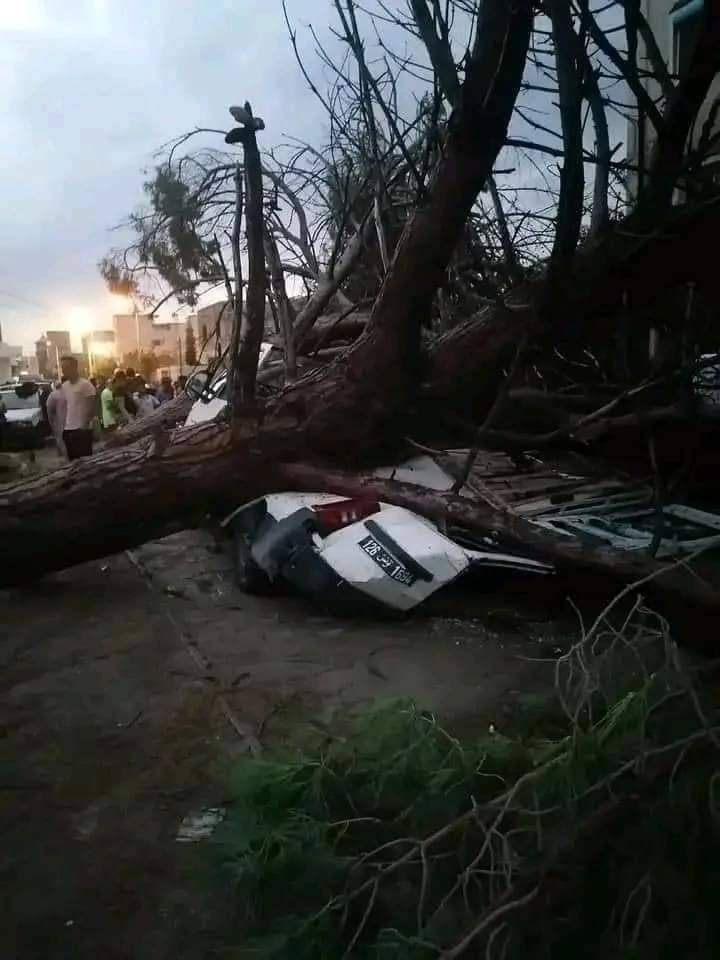 bassem_zammeli's tweet photo. @In2ThinAir @d_boocock Eye witness here I'm in Tunisia, which is a few miles away, we felt this it came out of nowhere no warning no forecast 100% unpredicted it knocked down some trees destroyed some cars it was over in like 1 hour https://t.co/BJV8eHYhCb
