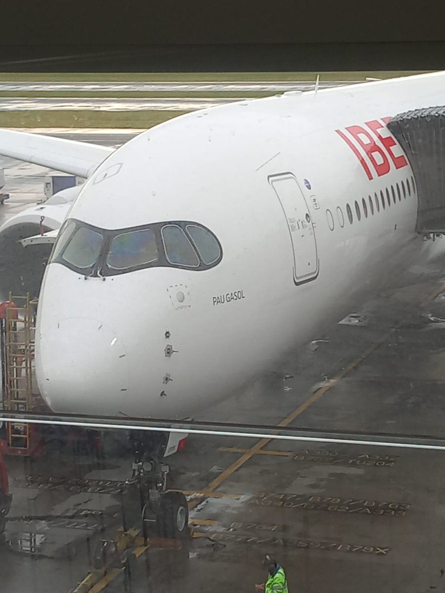 garciacavia's tweet photo. @paugasol Tranquilidad. Vuelo Bogotá-Madrid. En las mejores manos. https://t.co/qrXkr1iPLk