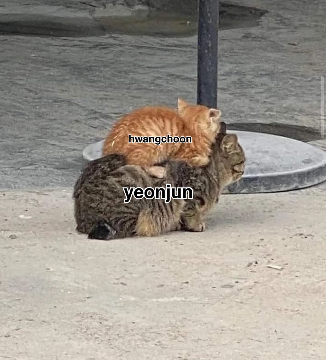 🤗