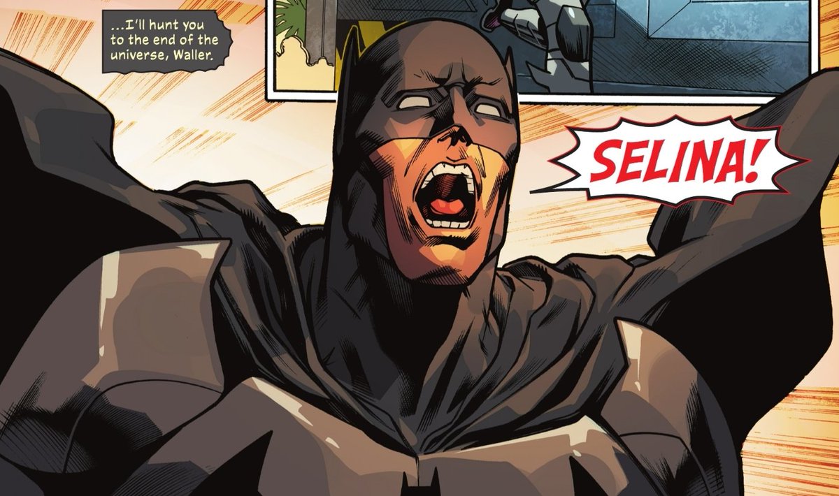 best of batcat (@thebestofbatcat) / Posts / X