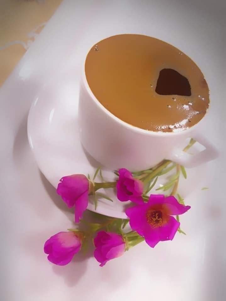 afffty's tweet photo. صباحكم ج��يل كجمال قلوبكم الطيبة
صباح الورد يا من يحلو بهم الصباح   
صباح الخيرات لمن يزهرون القلب
بحروفهم الجميلة وابتساماتهم ☕🌷🪞

أسعد الله صباحكم بكل خير أحبتي في الله. 🌤☕️ https://t.co/KLrCMJwgep