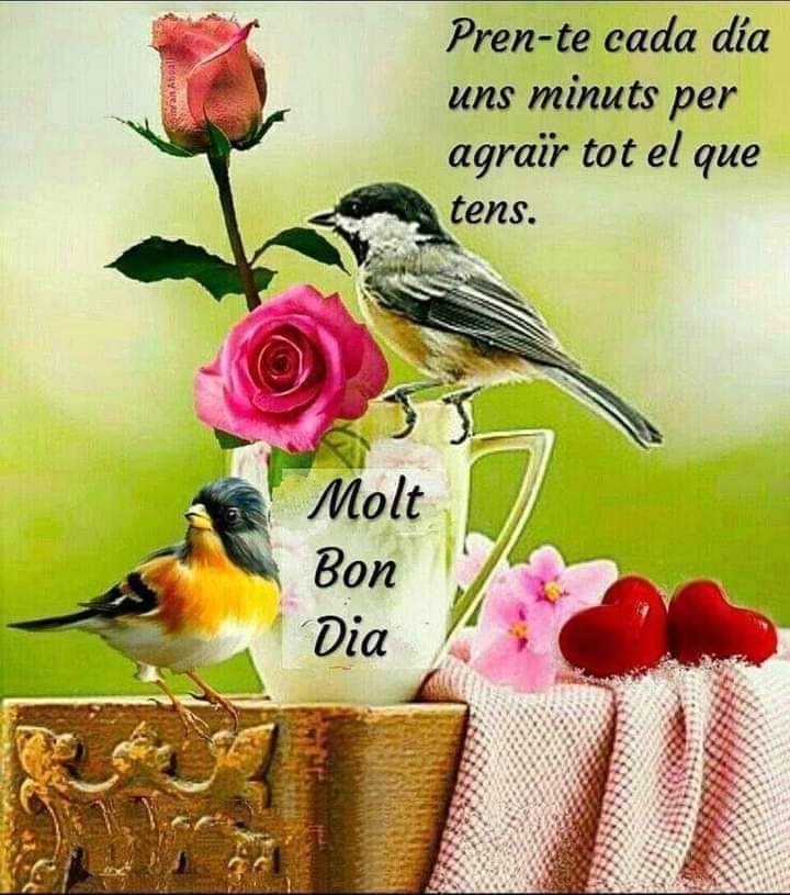 ComasTuron's tweet photo. @Japreal ❤💙💓🫂💓❤💙
BONA JORNADA🌞
☕☕🤗☺🥰💓 https://t.co/gFWOYbip0s