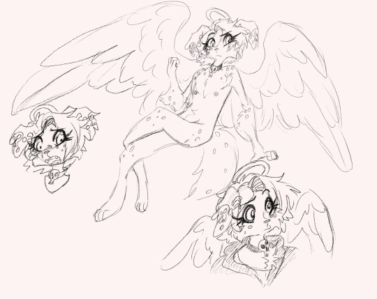 Gobbitses's tweet photo. Gei has short ears now though to look more like a goldie and hhhh I love it? But I keep forgetting his belly button ring https://t.co/Zf926Z5KOh