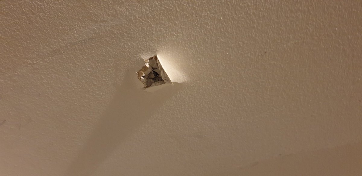 TheCatAvila's tweet photo. Estaba duermiendo cuando de repente me despierta un ruido súper fuerte, miro hacia el techo y veo esto.. https://t.co/XfRnTlMQB2