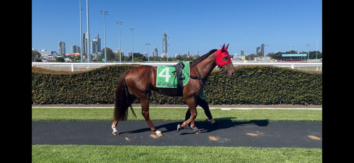 LavinPark's tweet photo. “Rich Minx” blitzes her opponents today at the Gold Coast winning by 9.3 lengths ⁦@hoystedracing⁩ https://t.co/zswcBRBBLb