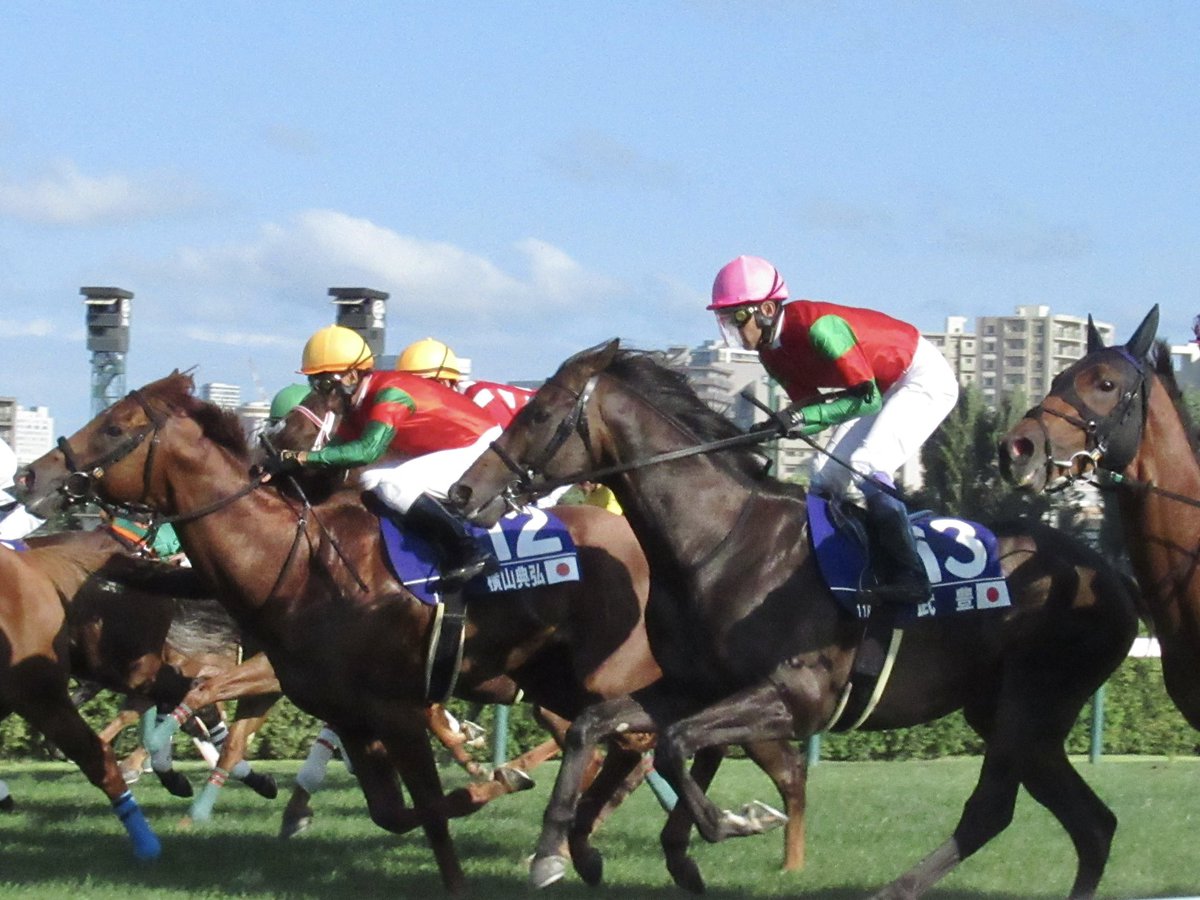 desios1's tweet image. マイネル典弘&amp;amp;マイネル豊
#WASJ2024