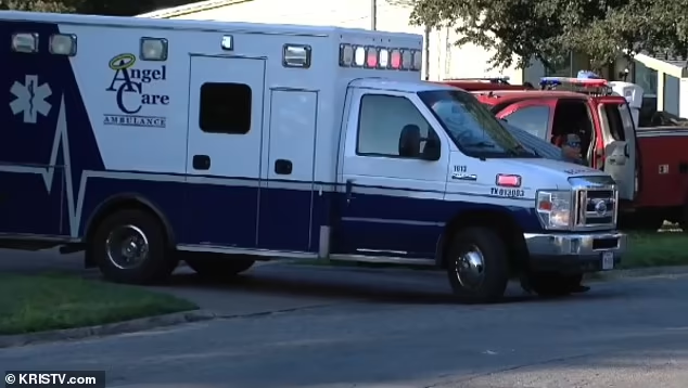 TrueCrimeUpdat's tweet photo. 9-month-old baby dies after grandmother left them in hot car for 8 hours in #Beeville, #Texas
Found unresponsive at 4pm Wed. Left since 8:30am outside East Flournoy home
Grandmother hospitalized with medical condition
No charges filed yet
#RIP 🙏 #TrueCrime https://t.co/FrQTvUTEYm