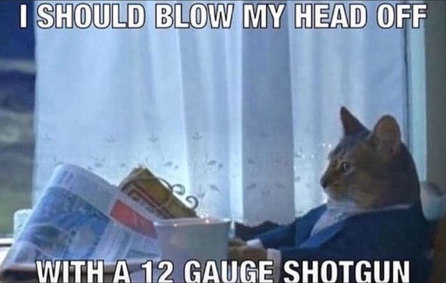 𝙘𝙝𝙖𝙤𝙨 𝙧𝙚𝙞𝙜𝙣𝙨 tweet media