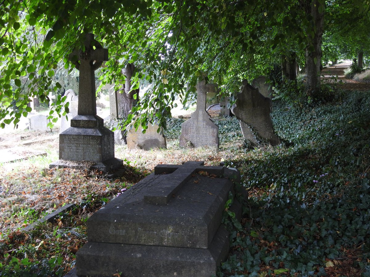Friends of Teignmouth Cemetery tweet media