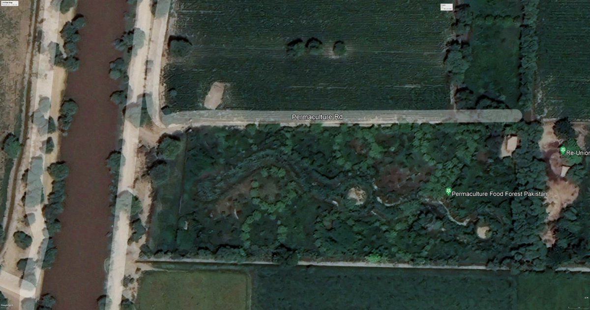 Permacultureffp's tweet photo. A fresh look at the Permaculture Food Forest
#Permaculture https://t.co/2q8dDkfAYD