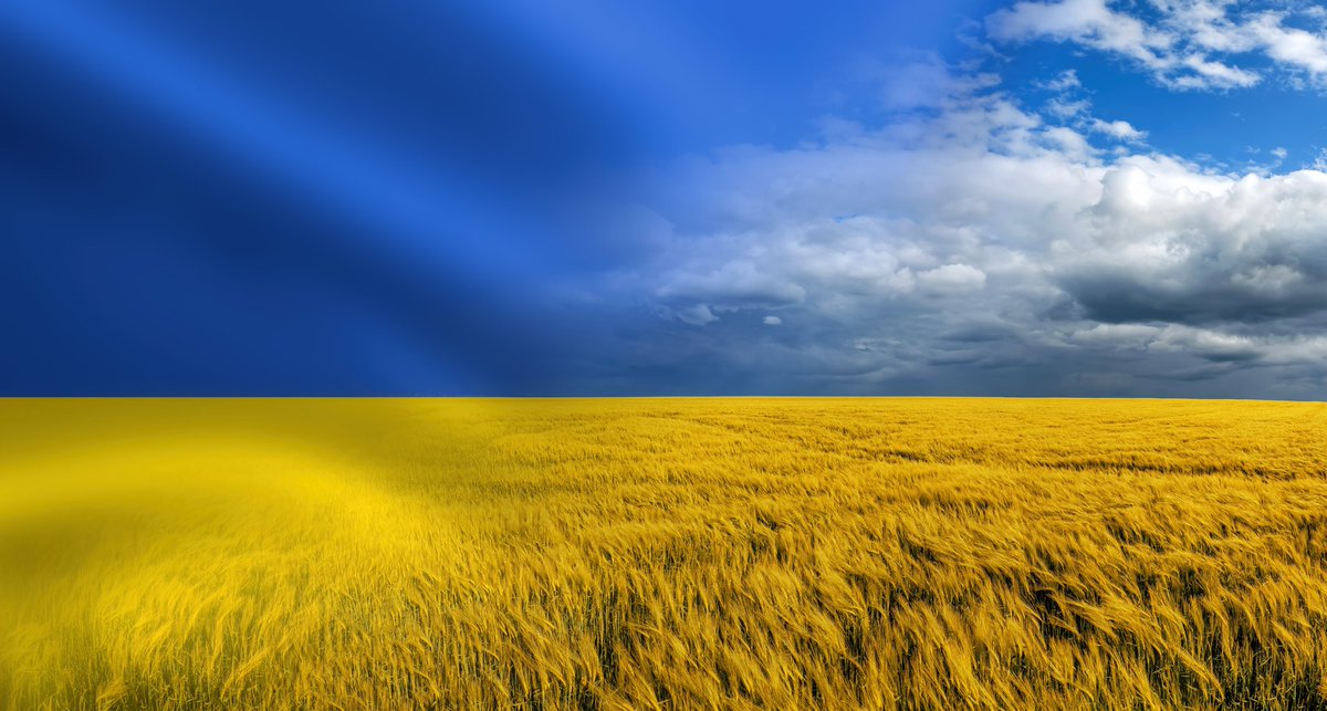 serhiylovochkin's tweet photo. З Днем Незалежності!
Україна переможе!🇺🇦✌️ https://t.co/lRrNs4eX5p