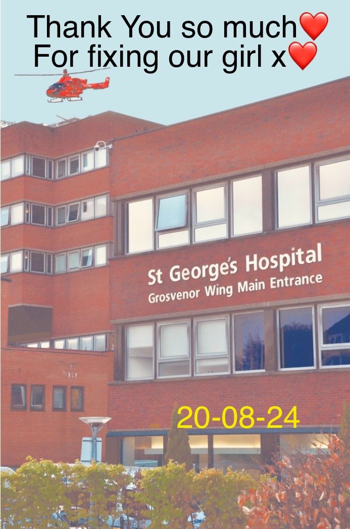 Mark and Savannah tweet media