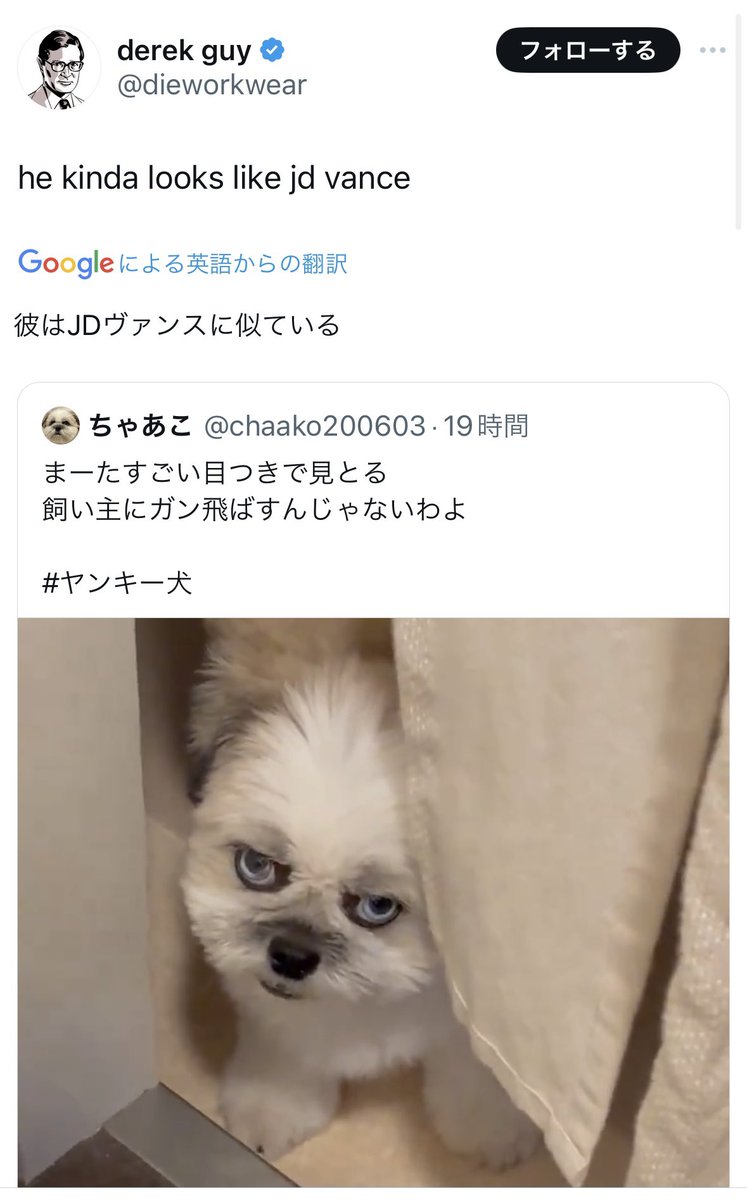 chaako200603's tweet photo. うちの犬がアメリカの上院議員に似てるって勝手に検証までされててわろた
確かにちょっと似てるけど https://t.co/I7XrN3wRbg