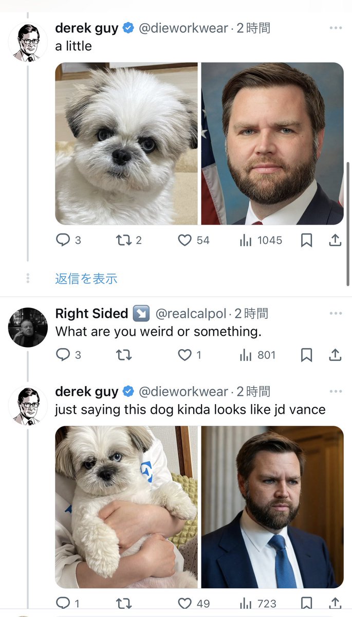 chaako200603's tweet photo. うちの犬がアメリカの上院議員に似てるって勝手に検証までされててわろた
確かにちょっと似てるけど https://t.co/I7XrN3wRbg