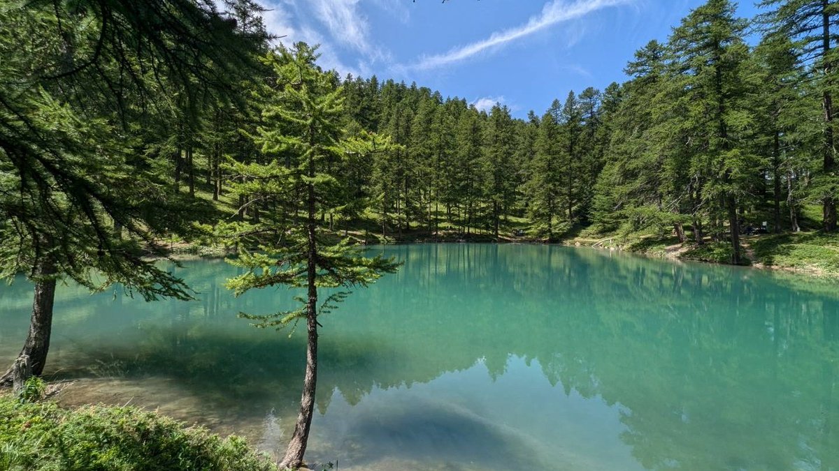 Scot_climber's tweet photo. 📍Lac du Pre du Laus, Risoul 1850, Hautes-Alpes, France.   A short July wander through alpine meadows led to this beautiful alpine lake surrounded by larch trees 
#lacdupredulaus
#risoul1850
#hautesalpes #summerinthealps https://t.co/HWkTots3zt