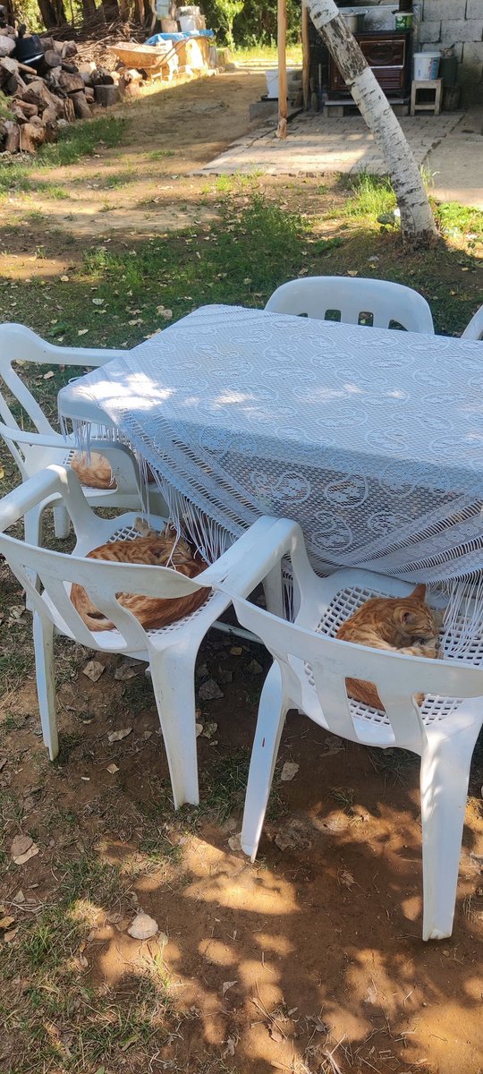 Boş yerimiz kalmadı maalesef, lütfen daha sonra tekrar arayınız..:)))