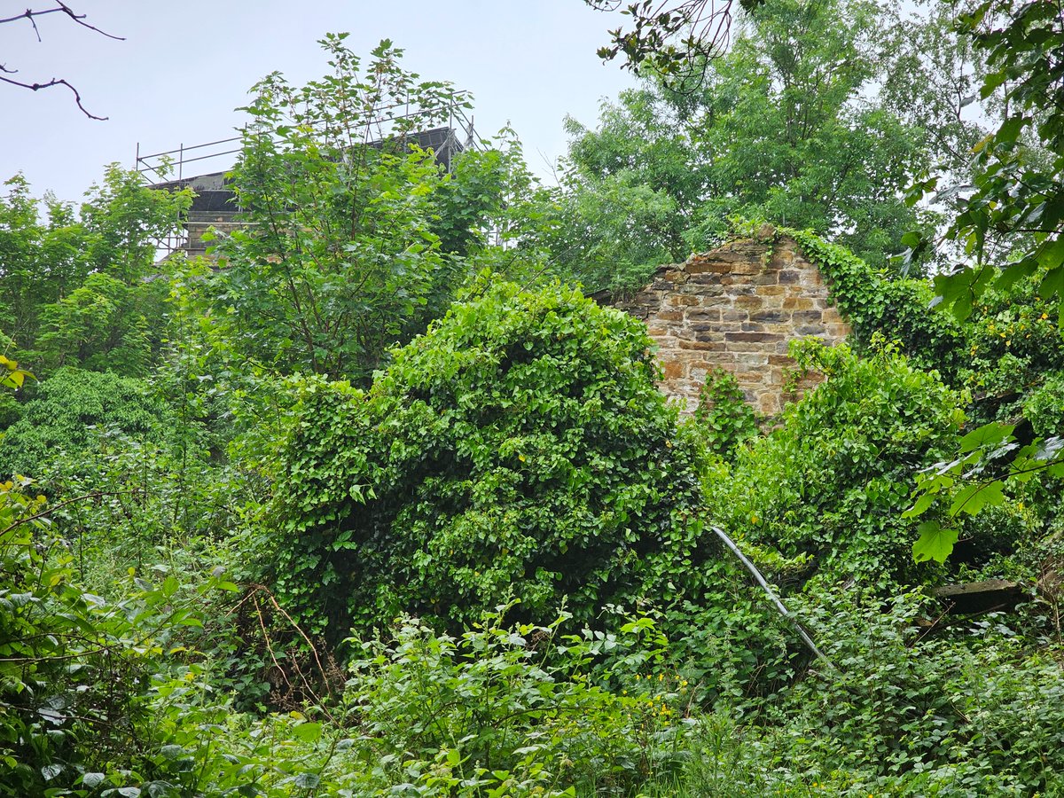 TheExploreFox's tweet photo. #Abandoned #Share #Photo #Explr #Exploring #New #Picture #Share #Wigan https://t.co/zlPOCNhOgj