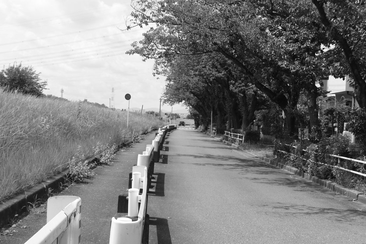 モノクロの世界

 #白黒  #モノクロ  #何気ない風景