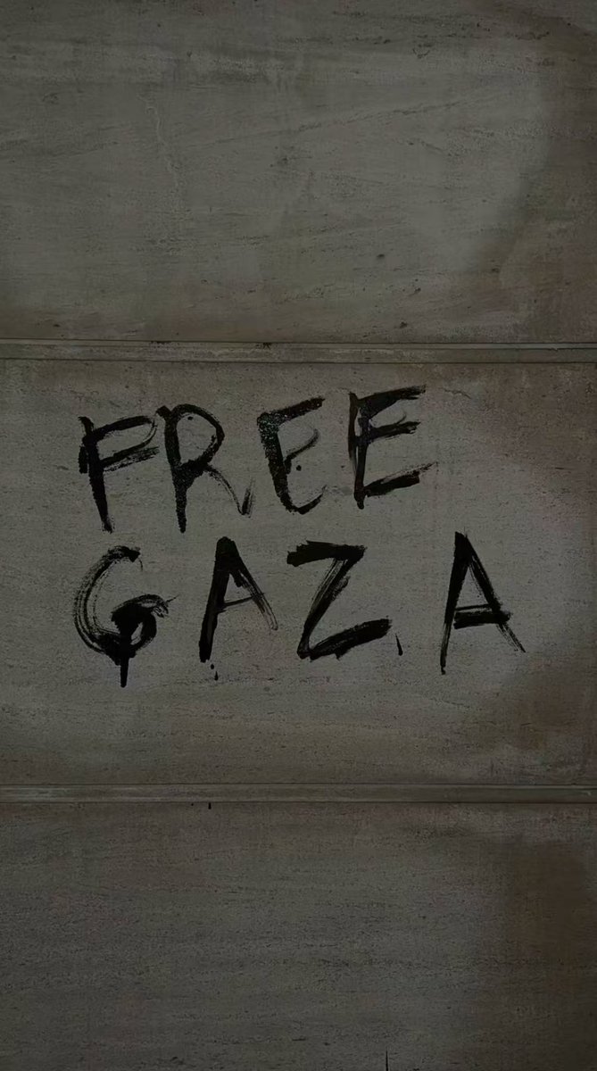 1334rj's tweet photo. Nous sommes tous des enfants de Gaza https://t.co/0V06Nf8GVh