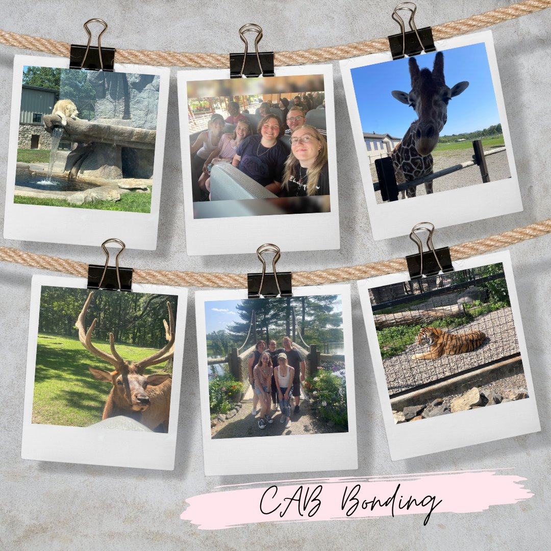 York College Campus Activities Board tweet media