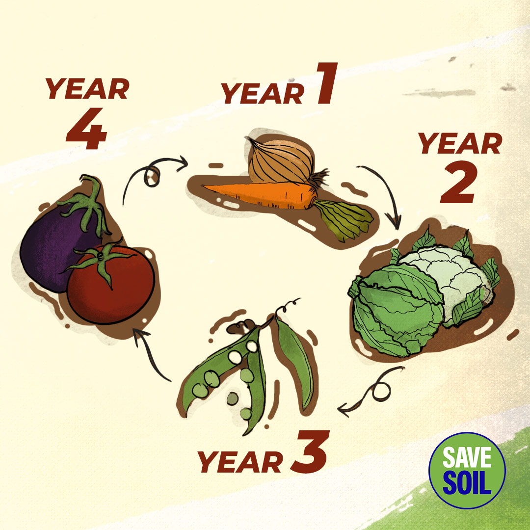 cpsavesoil's tweet photo. Farms that practice healthy crop rotation can grow more nutritious crops.

That is because farms that use a variety of cover crops – those planted specifically to enrich the soil — will foster nutrient-rich soil and thus nutrient-rich produce and grains.

#SaveSoil https://t.co/J9PA1WFUHq