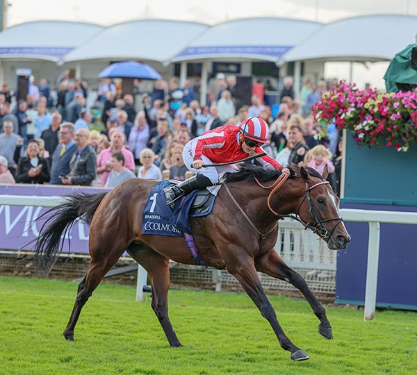 Capital Stud tweet media