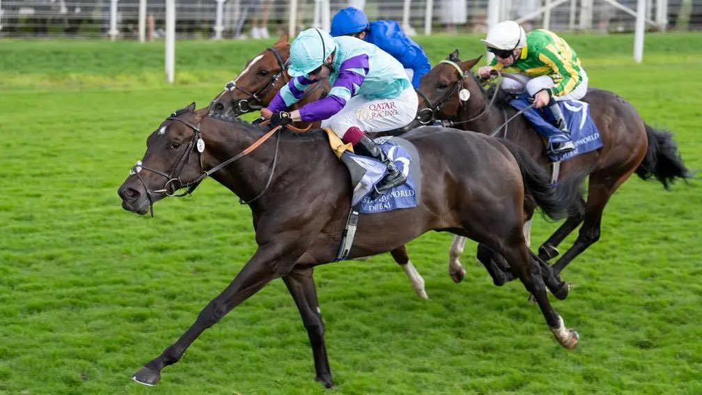 Capital Stud tweet media