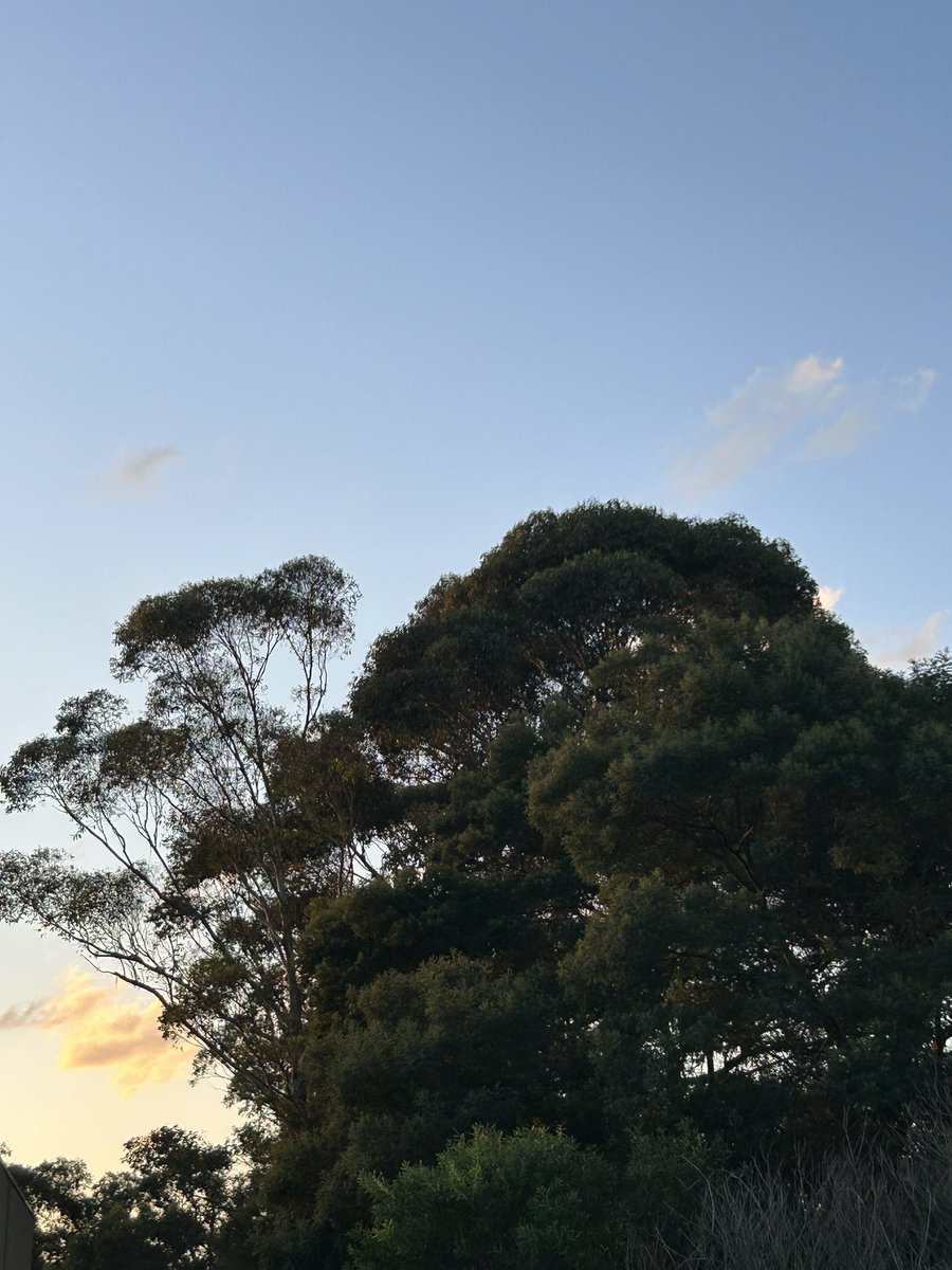 The end of Melbourne’s winter has really been quite beautiful. Love a balmy afternoon outside!