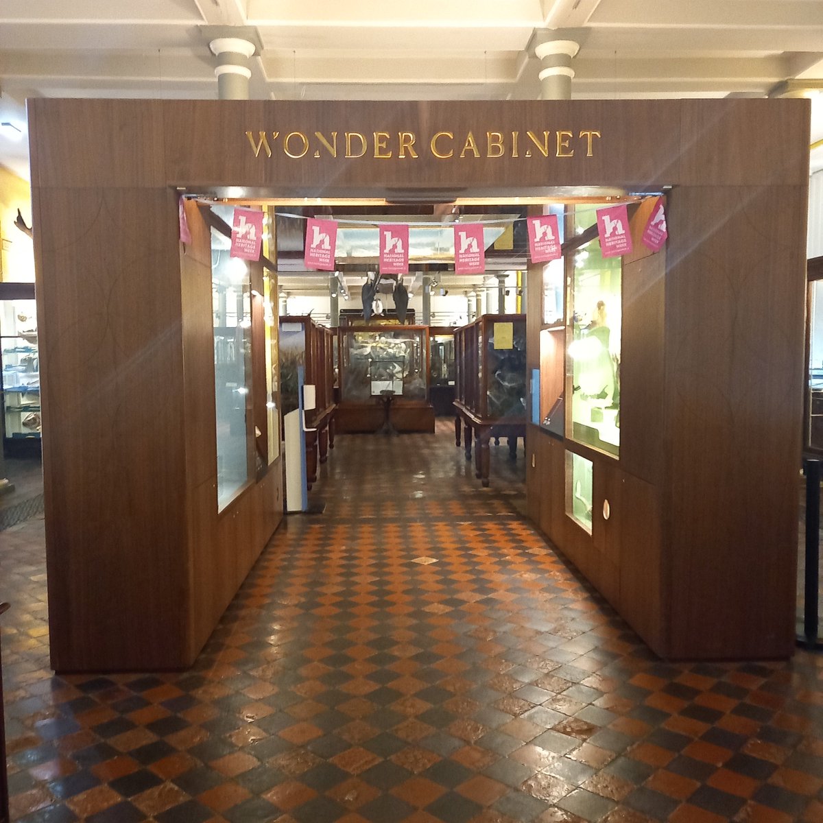 GeraldineBreen's tweet photo. Last pop-up chats 10:30am &amp; 11:45am @ The Dead Zoo this morning. Join us as we explore some top predators from the animal kingdom! ISL interpretation provided. We'll see you at The Wonder Cabinet! Museum open until 1st Sept https://t.co/pujwFOsdRV #HeritageWeek2024  @NMIreland https://t.co/JIgkYhwJjp
